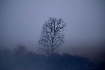 amanecer con espesa niebla en el barrio de Salburua en la ciudad de Vitoria-Gasteiz (Alava), País Vasco, España