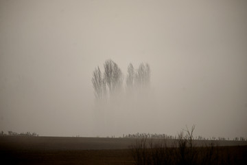 amanecer con espesa niebla en el barrio de Salburua en la ciudad de Vitoria-Gasteiz (Alava), País...