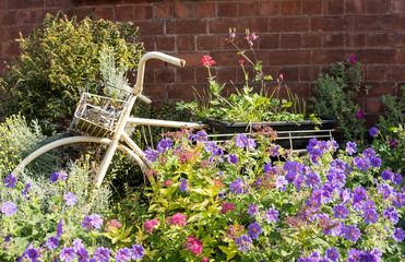 Old bicycle in a summer flower garden