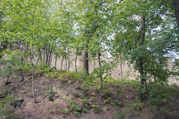 Fototapeta na wymiar Petrin hill public park wall, trees and shades on a nice summer day in Prague, Czech Republic 