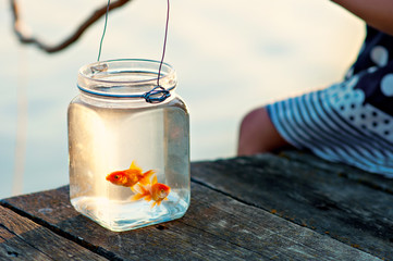 A girl catches a goldfish on a pier in a lake