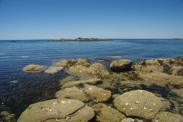 le croisic- la cote sauvage 