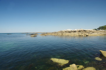 le croisic- la cote sauvage 