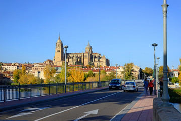 Salamanca, Spain - November 15, 2018: Cathedral of Salamanca and the Bridge of Enrique Estevan in the foreground.