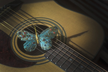 Turquoise butterfly on strings of acoustic guitar,