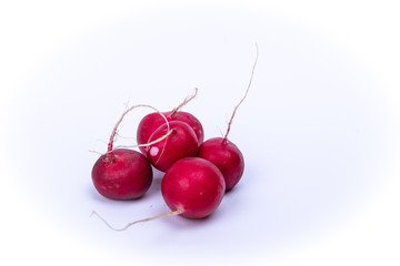 five radish on a white background