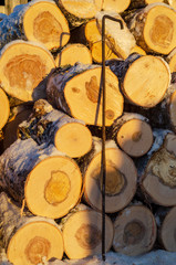 Fototapeta premium firewood and sunshine