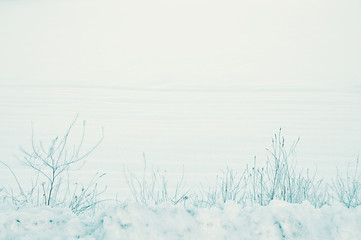 Fototapeta na wymiar Peaceful, rural winter landscape of cold snow covering the ground of farmland in the countryside a silent December morning. Soft blue color tones and copyspace