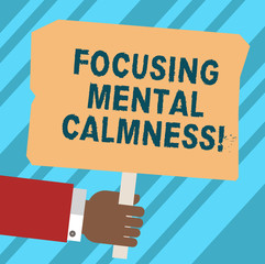 Word writing text Focusing Mental Calmness. Business concept for free the mind from agitation or any disturbance Hu analysis Hand Holding Blank Colored Placard with Stick photo Text Space
