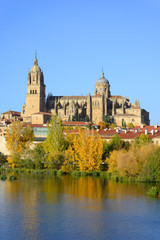 Fototapeta na wymiar Salamanca, Spain - November 15, 2018: Cathedral of Salamanca and the river Tormes in the foreground.