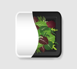 Mix of salad leaves in plastic tray container with cellophane cover. Mockup template for your design. Plastic food container with clear white label template. Vector illustration.