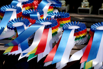 Closeup of colorful ribbons awards rosettes and trophys for winners In equitation competition