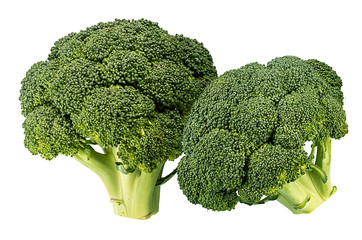 Broccoli isolated on white background