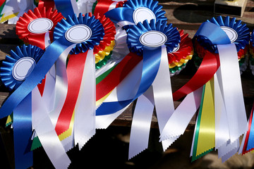 Closeup of colorful ribbons awards rosettes and trophys for winners In equitation competition