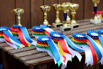 Group of horse riding equestrian sport trophys badges rosettes at equestrian event  at summertime