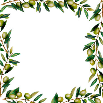 Beautiful watercolor round frame with olive tree branches with ripe olive berries and green leaves.