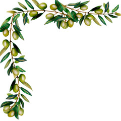 Beautiful lush watercolor banner with olive tree branches with ripe olive berries and green leaves.