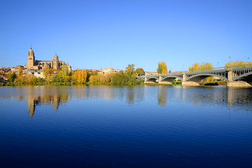Fototapeta premium Salamanca, Spain - November 15, 2018: Cathedral of Salamanca and the Bridge of Enrique Estevan in the foreground.
