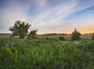 Obraz premium spring morning valley of the picturesque river. spring fog