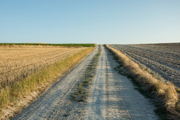Fototapeta na wymiar Travel road through stubble and plowed field, horizon and cloudless sky