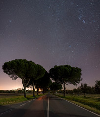 Night Drive