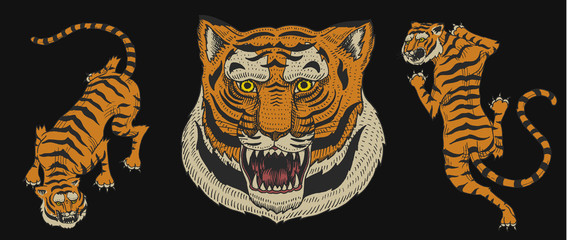 Asian tigers in vintage japanese style for logo. Face Close up. Wild animals cats. Predators from the jungle. Hand drawn Engraved Monochrome Old Sketch for tattoo t-shirt or web site.