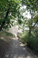 Fototapeta premium Petrin hill public park wall, trees and shades on a nice summer day in Prague, Czech Republic 