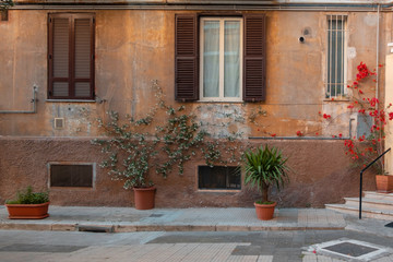 facade of an old house, windows with shutters and flowers in the pots