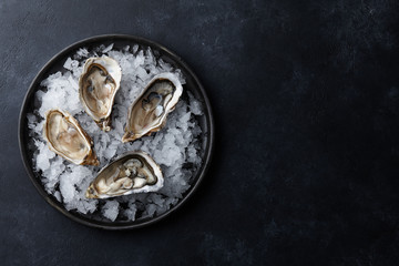 Fresh opened oysters in a plate with ice on black textured background, top view