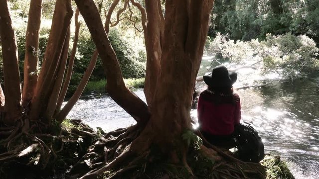 Woman seated next to a beautiful tree called Arrayan of the Patagonian region. 4k