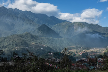 sapa