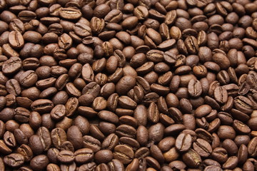 Brown Coffee Beans