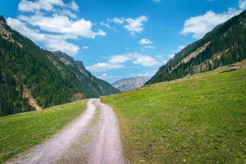 Fototapeta premium Alpine road through pastures in the Swiss Alps