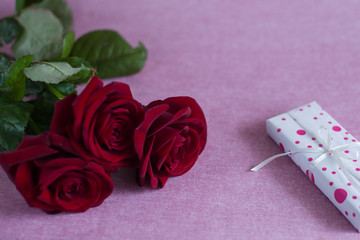 red roses on lies on pink background, gift box tied with white ribbon lies on pink background (horizontally, close up).