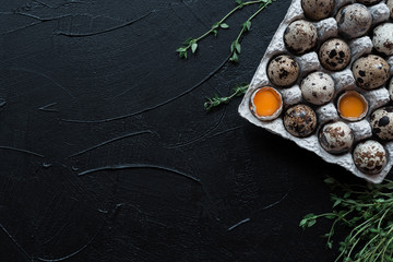 quail eggs on dark background with herbs.Top view