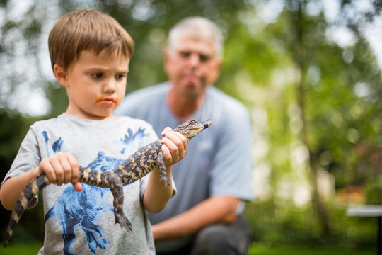 Boy holding baby alligator