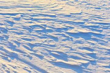 Wind blown snow lit by low angle winter sun.