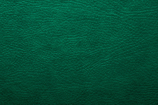 Green Leather Texture, Background. Green Animal Skin, Textile, Pattern. 