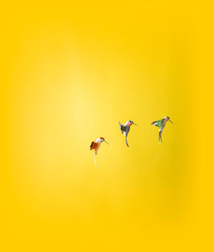 Three fake hummingbirds