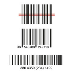 Bar Code Set Vector