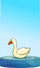 goose gęś © yaroshy