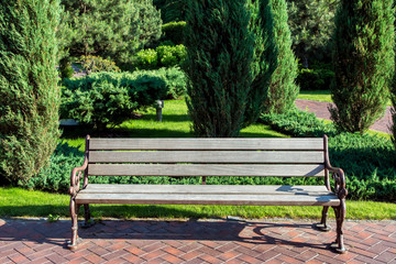 a wooden bench with iron legs in a park with a lawn and evergreen bushes and a thuja tree, a place for sitting in the garden.