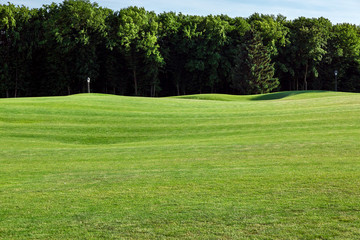 Fototapeta na wymiar landscape of a golf course with a wavy meadow and trees in the background.