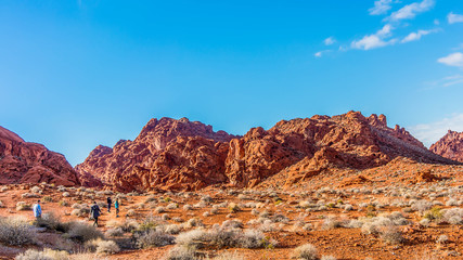 Fototapeta premium Hikers on the desert in winter.