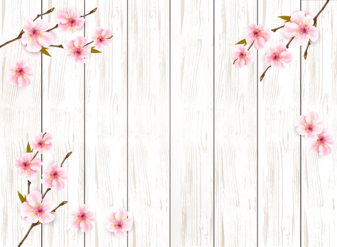 Sakura japan cherry branch on wooden background. Vector