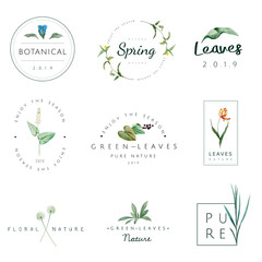 Set of nature and plant logo vectors
