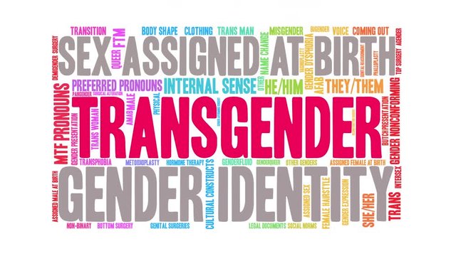 Transgender Animated Word Cloud on a white background. 