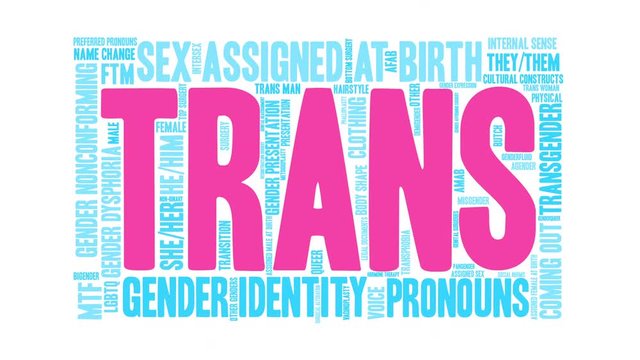 Trans Word Cloud animated word cloud on a white background. 