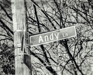 Andy Andrew Name Street Sign