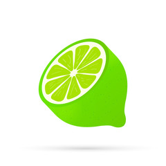 Lime with green leaves, slice citrus isolated on white background. Vector illustration.